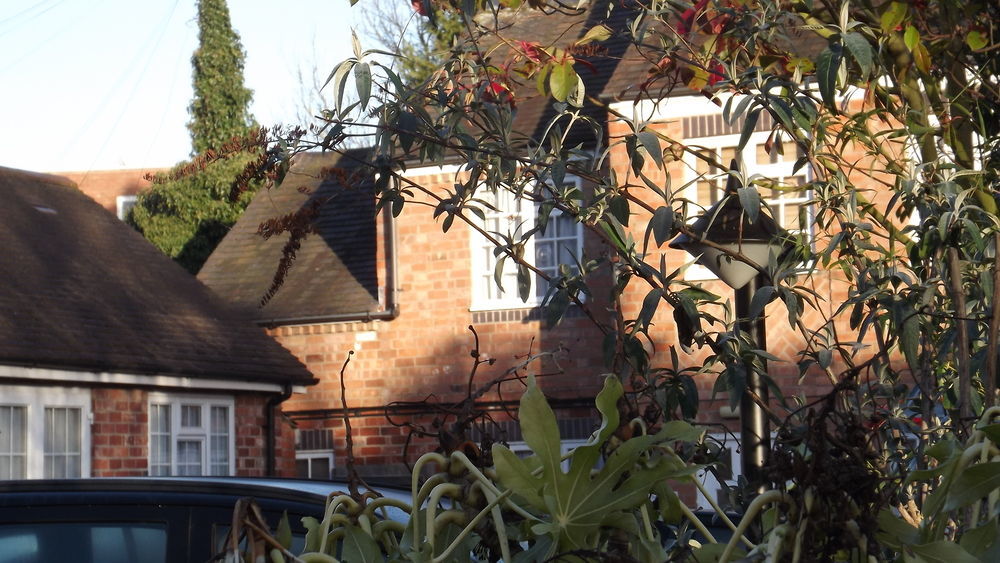 The Peacock Townhouse Hotel Kenilworth - Warwick Eksteriør billede